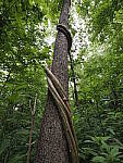 Click to see Y-WB-8_25MM-P6020066.JPG