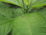 Click to see Y-WB-8_25MM-P6020073.JPG