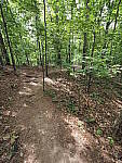 Click to see Y-WB-8_25MM-P6020130.JPG