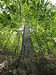 Click to see Y-WB-8_25MM-P6020132.JPG
