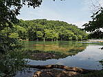 Click to see Y-WB-8_25MM-P6030213.JPG