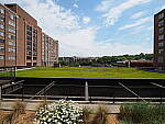 Click to see Y-WB-8_25MM-P6030253-8mm-f5.6.JPG