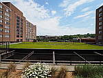 Click to see Y-WB-8_25MM-P6030254-8mm-f8.0.JPG
