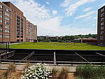 Click to see Y-WB-8_25MM-P6030255-8mm-f11.0.JPG