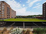 Click to see Y-WB-8_25MM-P6030256-8mm-f16.0.JPG