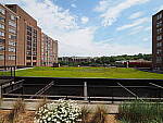 Click to see Y-WB-8_25MM-P6030257-8mm-f22.0.JPG