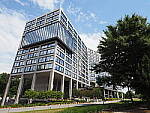 Click to see Y-WB-8_25MM-P6030270.JPG