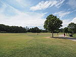 Click to see Y-WB-8_25MM-P6030340.JPG