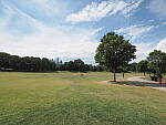 Click to see Y-WB-8_25MM-P6030343.JPG