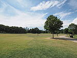 Click to see Y-WB-8_25MM-P6030344.JPG