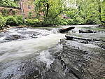 Click to see Y-WB-8_25MM-P6060068.JPG