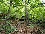 Click to see Y-WB-8_25MM-P6060127.JPG