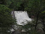 Click to see Y-WB-8_25MM-P6060238.JPG