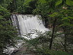 Click to see Y-WB-8_25MM-P6060247.JPG