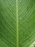 Click to see Y-WB-8_25MM-P6070381.JPG