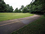 Click to see Y-WB-8_25MM-P6070391.JPG