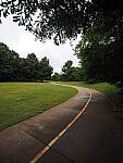 Click to see Y-WB-8_25MM-P6070407.JPG