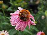 Click to see Y-WB-8_25MM-P6070436.JPG