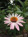 Click to see Y-WB-8_25MM-P6070454.JPG