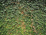 Click to see Y-WB-8_25MM-P6070468.JPG