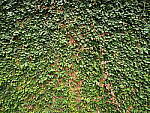 Click to see Y-WB-8_25MM-P6070469.JPG