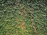 Click to see Y-WB-8_25MM-P6070470.JPG