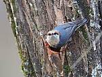 Click to see Y-WB-FT-P3113335-NoiseFilterLOW.jpg