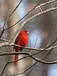 Click to see Y-WB-FT-P3120009.JPG