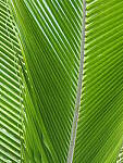Click to see Y-WB-P2071814.JPG