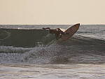 Click to see Y-WB-P2072699.JPG