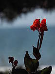 Click to see Y-300MM-A140.JPG