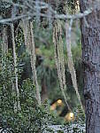 Click to see Y-300MM-A156.JPG