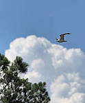 Click to see Y-300MM-A180-EDIT.JPG