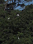 Click to see Y-300MM-A341.JPG