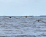 Click to see Y-300MM-A473-EDIT.JPG
