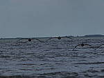 Click to see Y-300MM-A473.JPG