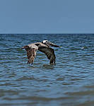 Click to see Y-300MM-A477-EDIT.JPG