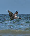 Click to see Y-300MM-A478-EDIT.JPG