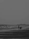 Click to see Y-300MM-TC-017.JPG