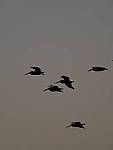 Click to see Y-300MM-TC-082.JPG
