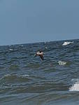 Click to see Y-300MM-TC-887.JPG