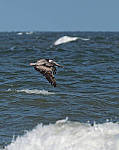 Click to see Y-300MM-TC-889-EDIT.JPG