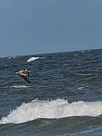 Click to see Y-300MM-TC-889.JPG