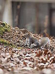 Click to see Y-300mm-AB00029.JPG
