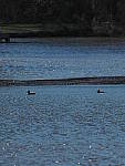 Click to see Y-300mm-AB40018.JPG