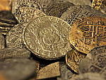 Click to see Y-focus-stacking-on-7.JPG
