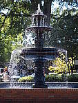 Click to see YPA050059-40_150Pro.JPG