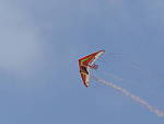 Click to see Y_A110189-40_150Pro.JPG