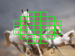 Olympus OM-D E-M1 review -- Phase detection AF points