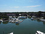 Click to see YD10042.JPG